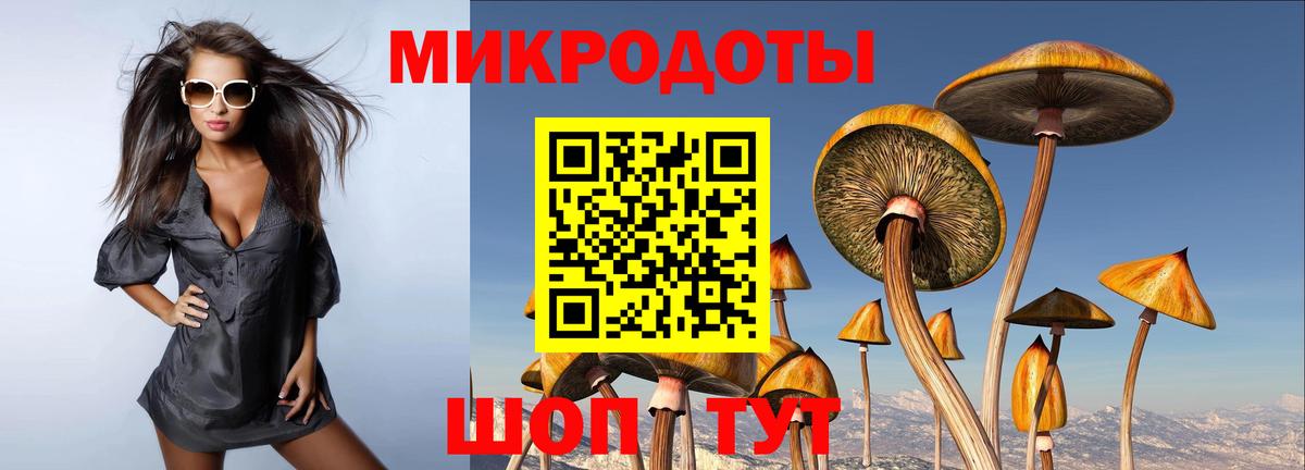 Вологда  Псилоцибиновые грибы Magic Shrooms  Вход с VPN 